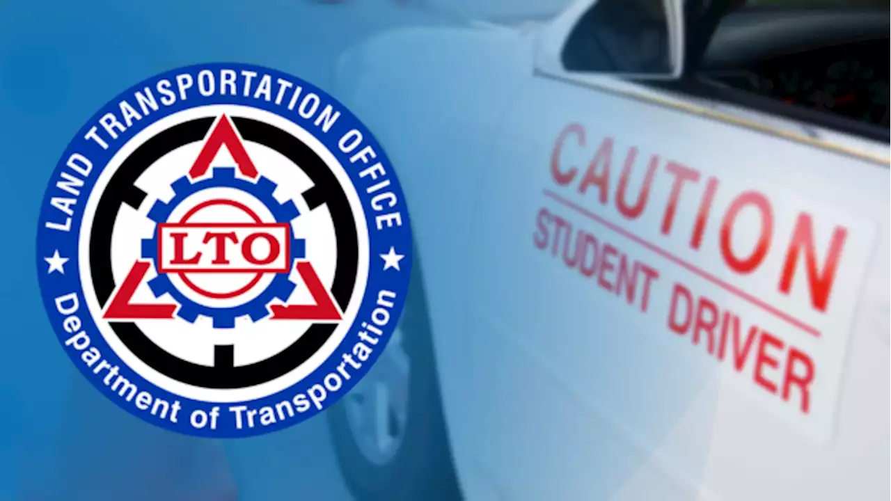 LTO hits the brakes on pricey driving schools