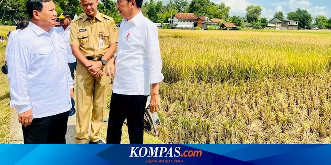 Jokowi Kian Dekat dengan Prabowo, Gerindra: Kita Enggak Mau 'GR', Jangan Terlena