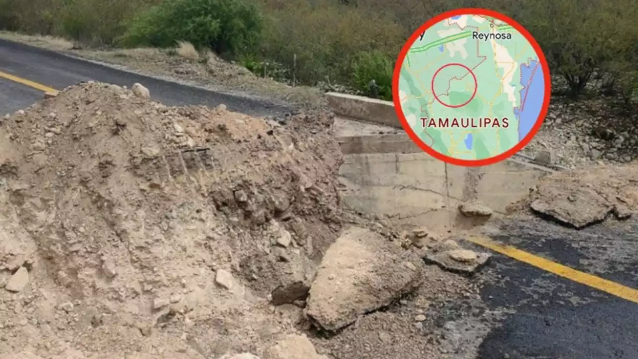 Cártel del Golfo troza carretera para impedir ofensiva del Cártel del Noreste