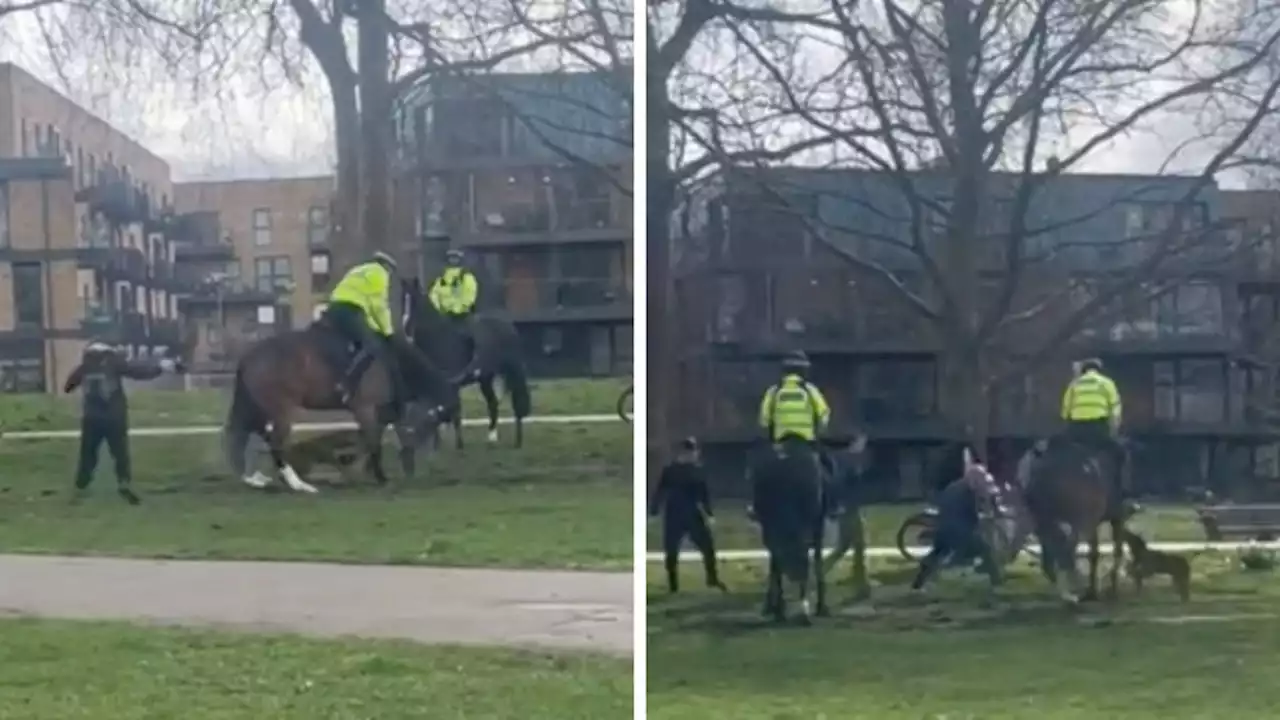 Shocking footage shows moment dog attacks police horse in London park as bystanders try to help