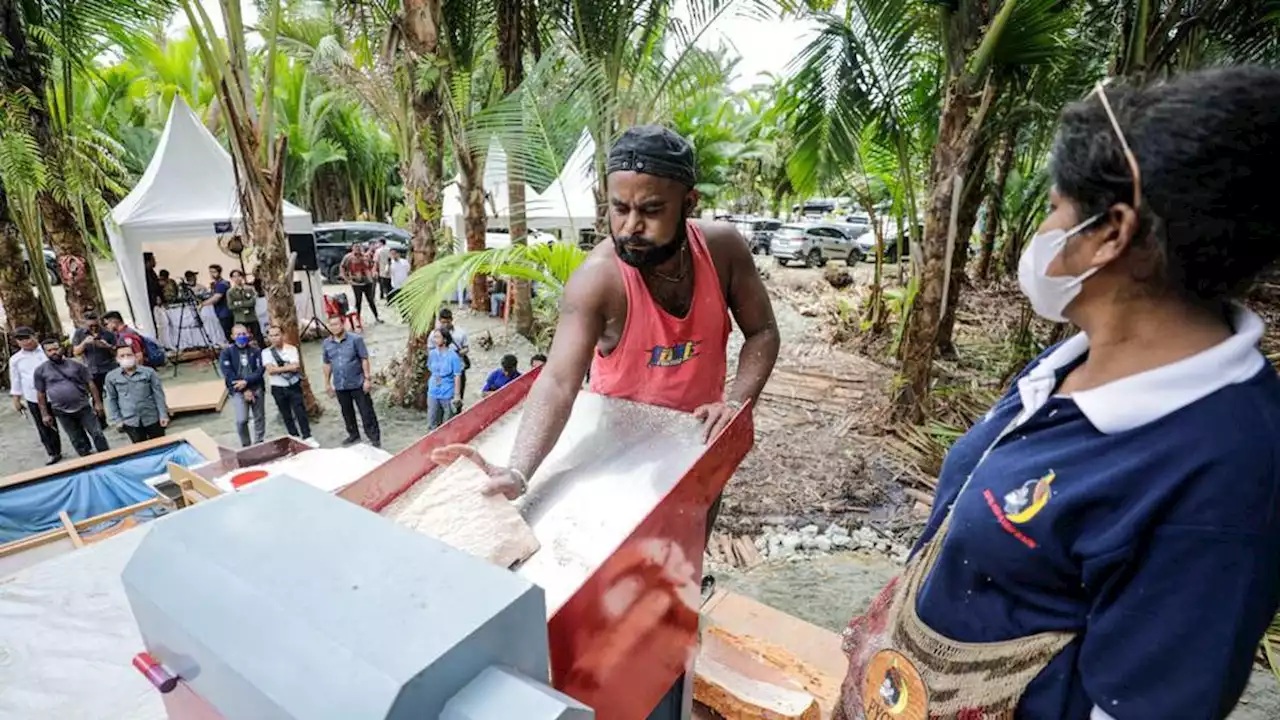 Hadirkan Mesin Pengolah Sagu, Pemuda Papua di PYCH Optimistis Tingkatkan Hasil Produksi