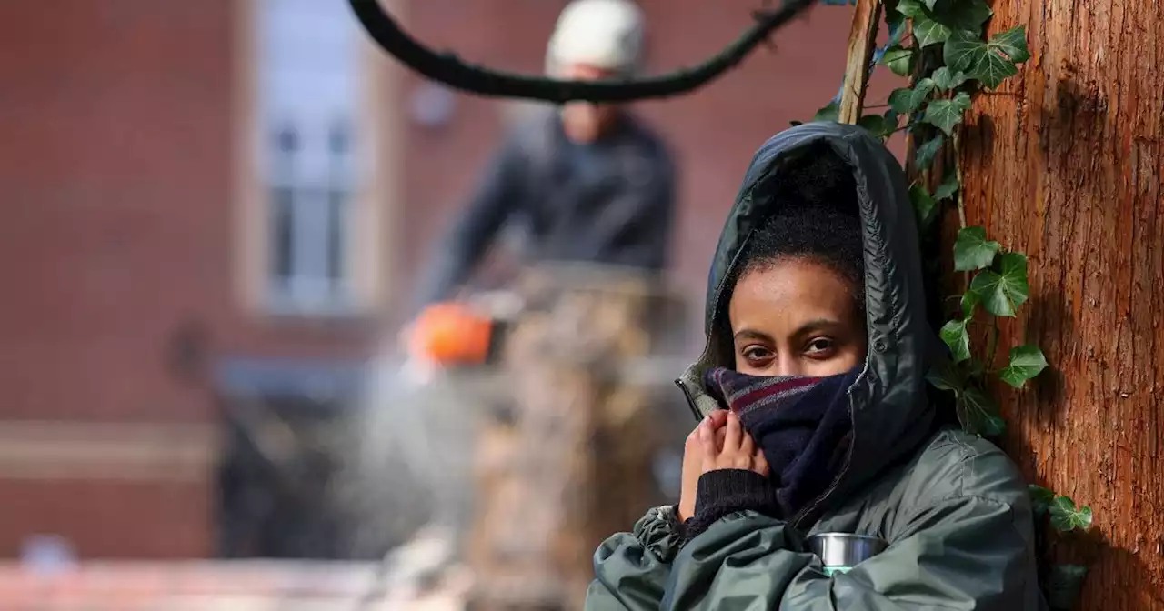 LIVE: Protesters tie themselves to trees in Manchester