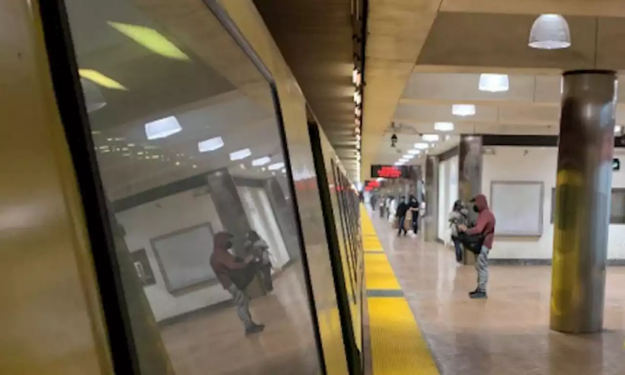 BART passenger’s death: Report details dragging by dog’s leash