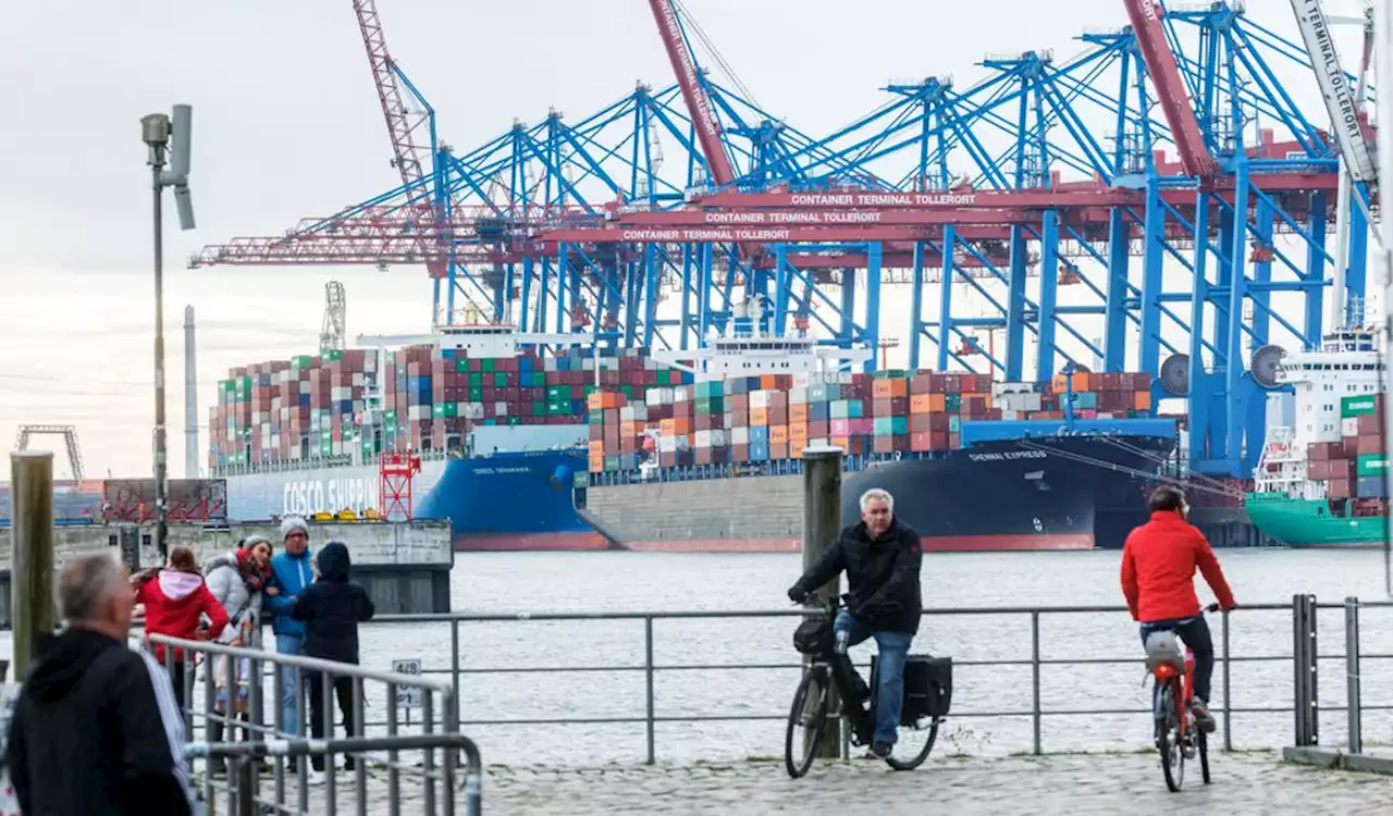 Habeck lässt Hamburg hängen: Hafen macht Druck wegen China-Deal