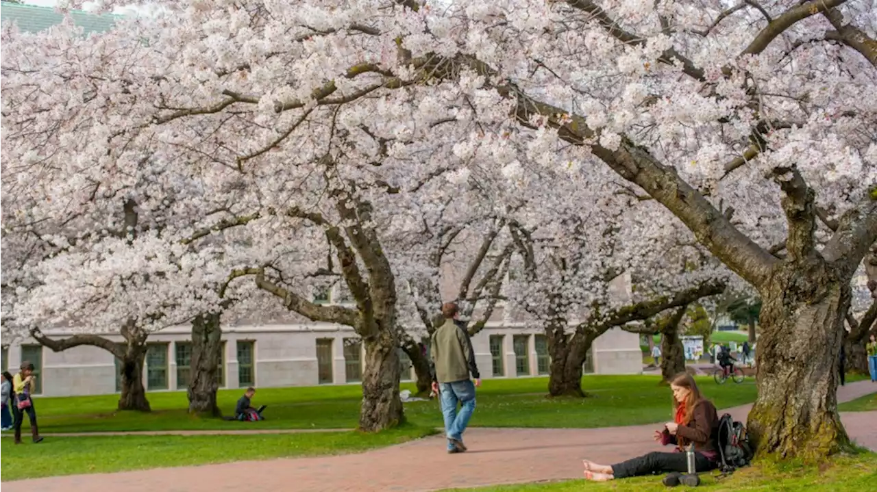 Allergy season arrives early across the Pacific Northwest