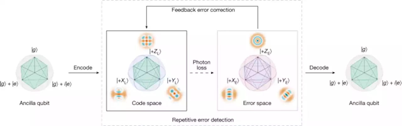 Beating the break-even point with a discrete-variable-encoded logical qubit - Nature