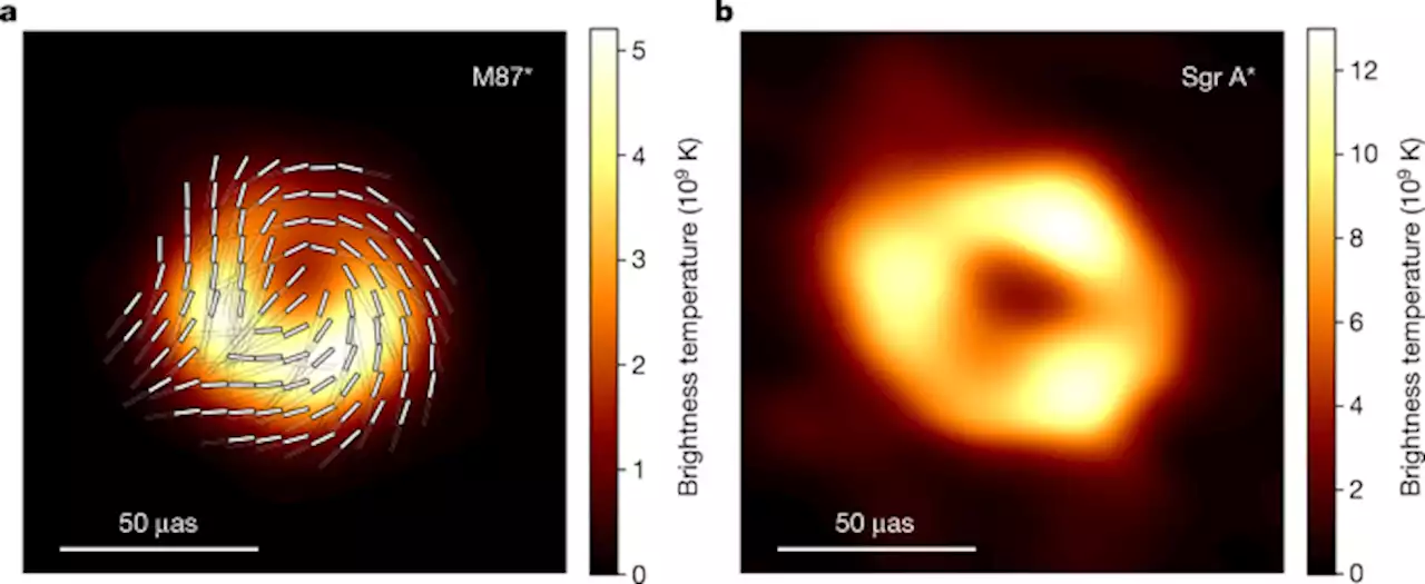 Black holes up close - Nature