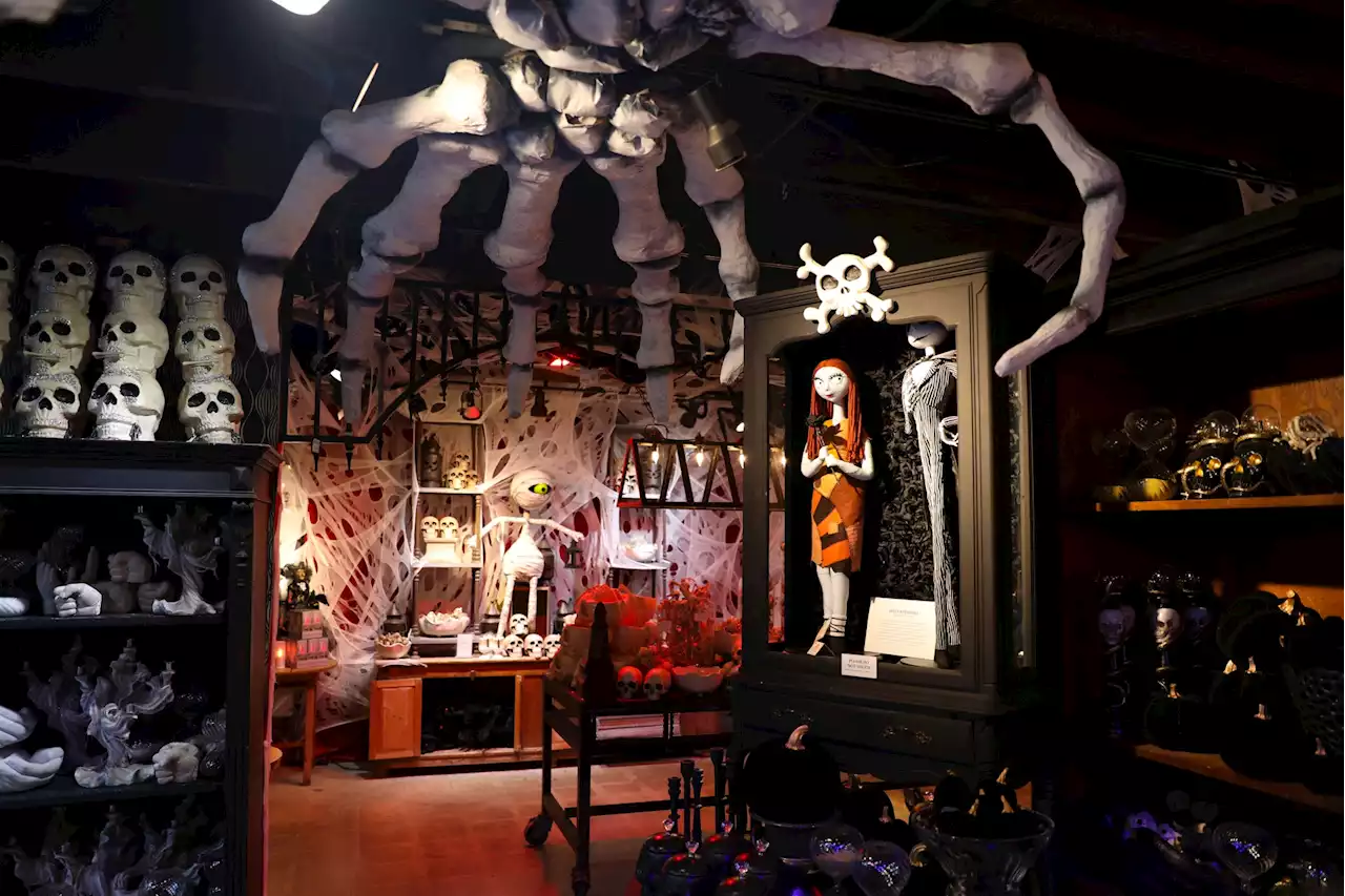 This Free-to-See Halloween Pop-up Just Unveiled Its Opening Date (Really)