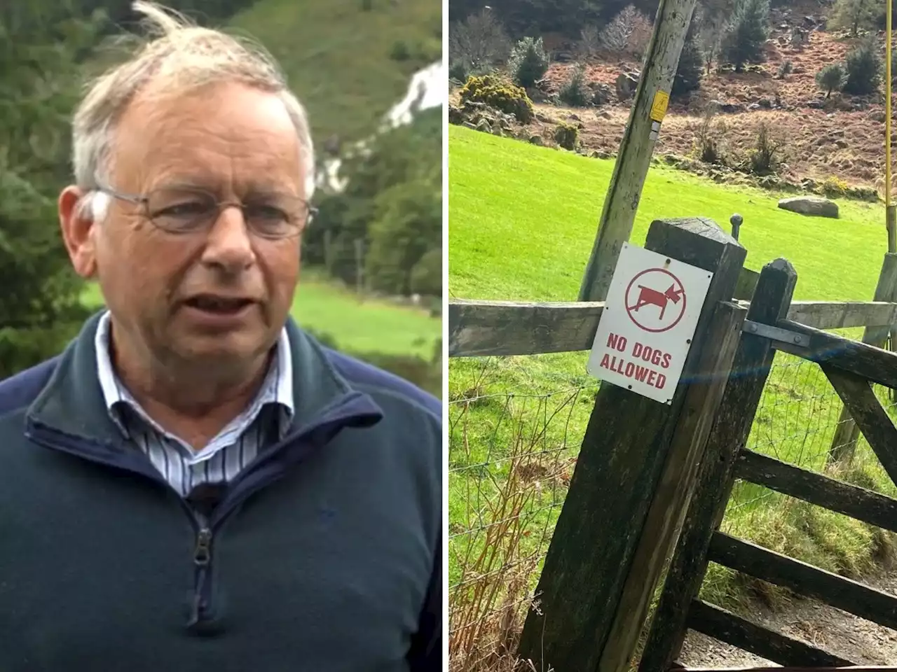 Wicklow farmer closes popular trail after assault - 'He pinned me to the ground'