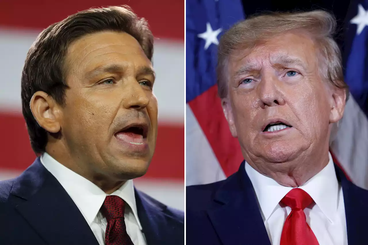 Ron DeSantis throws Trump into a tizzy