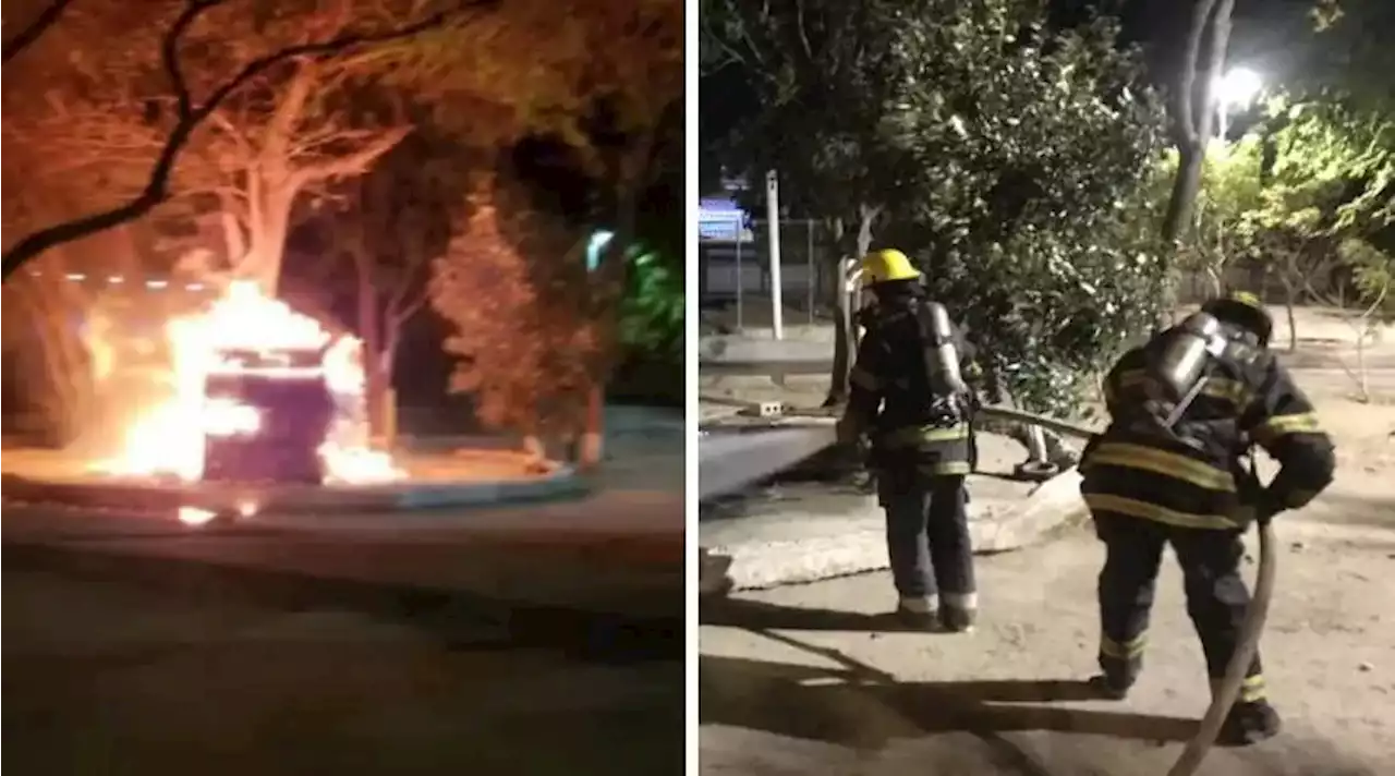 En video: incineran a decenas de gatos en un refugio de Santa Marta