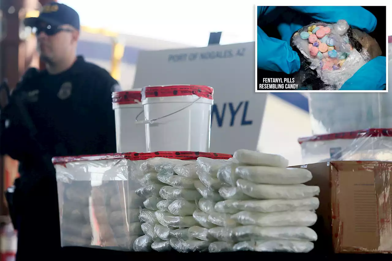 Homeland Security seizes 900 pounds of fentanyl in one week at border