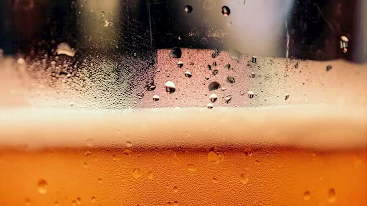 Just Add Water: German Brewery Touts its New Invention, 'Powdered Beer'