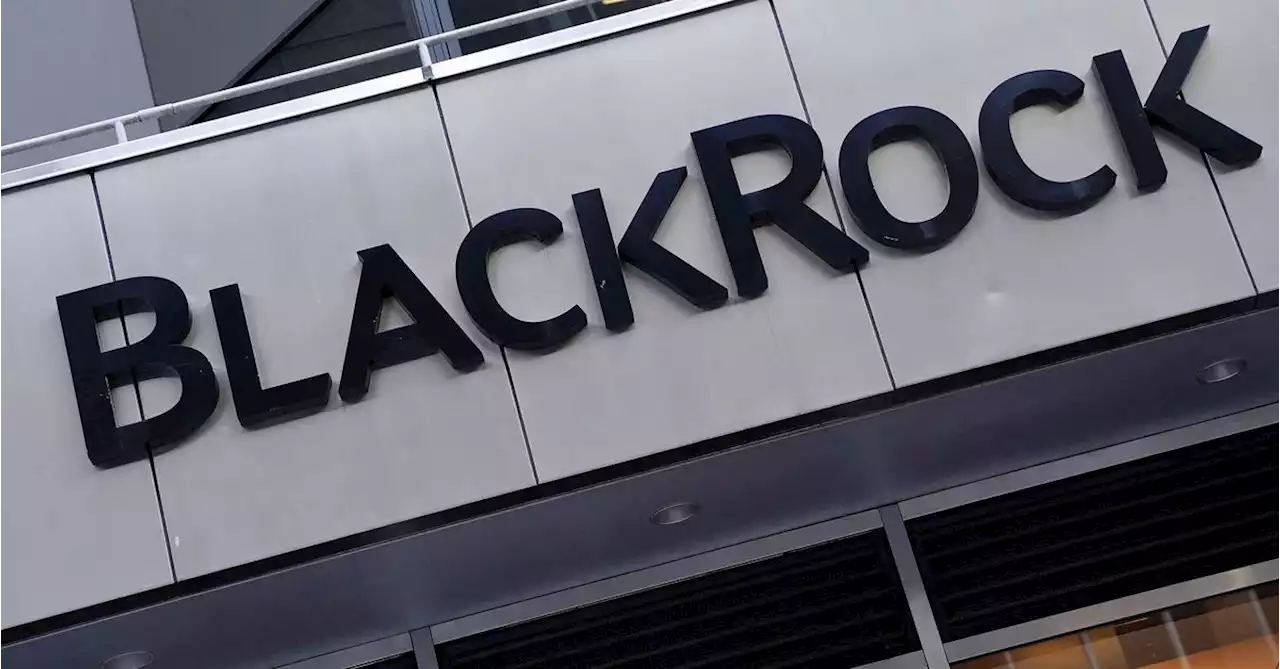 BlackRock to keep questioning boards on 'material' climate risks