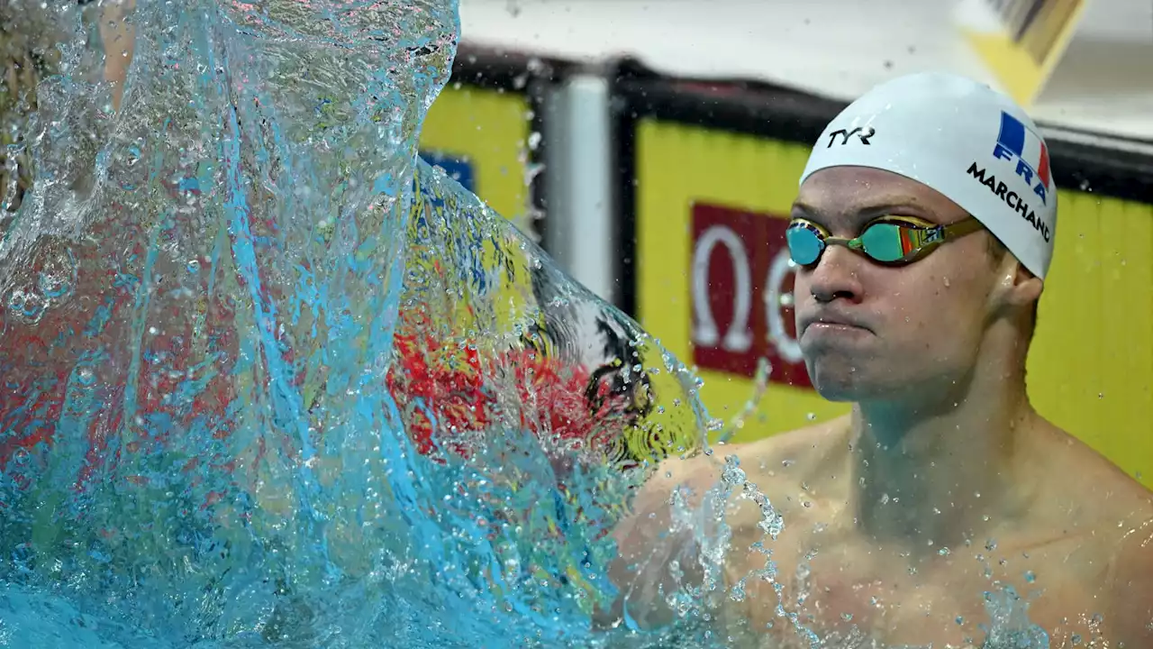 Natation: Léon Marchand, l'attraction de la 'March Madness'