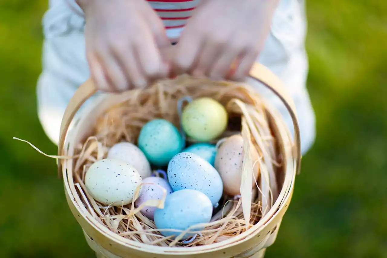 Easter activities start this Saturday in Truro/Colchester | SaltWire