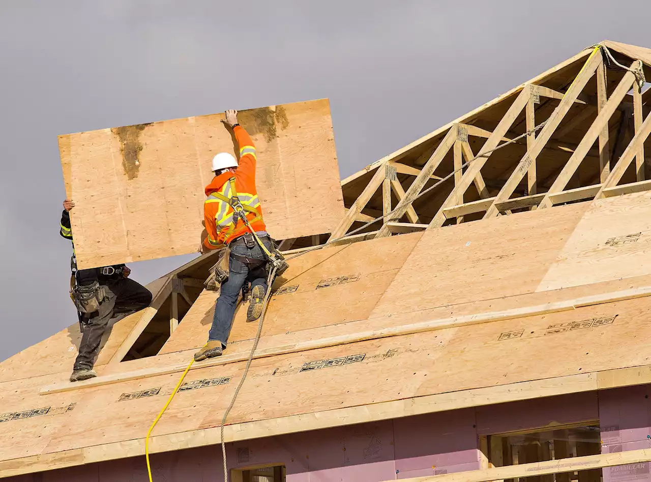 SHELDON MacLEOD: Trades worker wars and the housing paradox | SaltWire