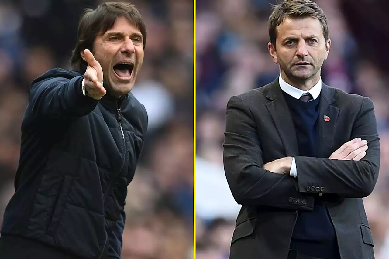 Daniel Levy told to let Antonio Conte go and replace him with Tim Sherwood at Tottenham