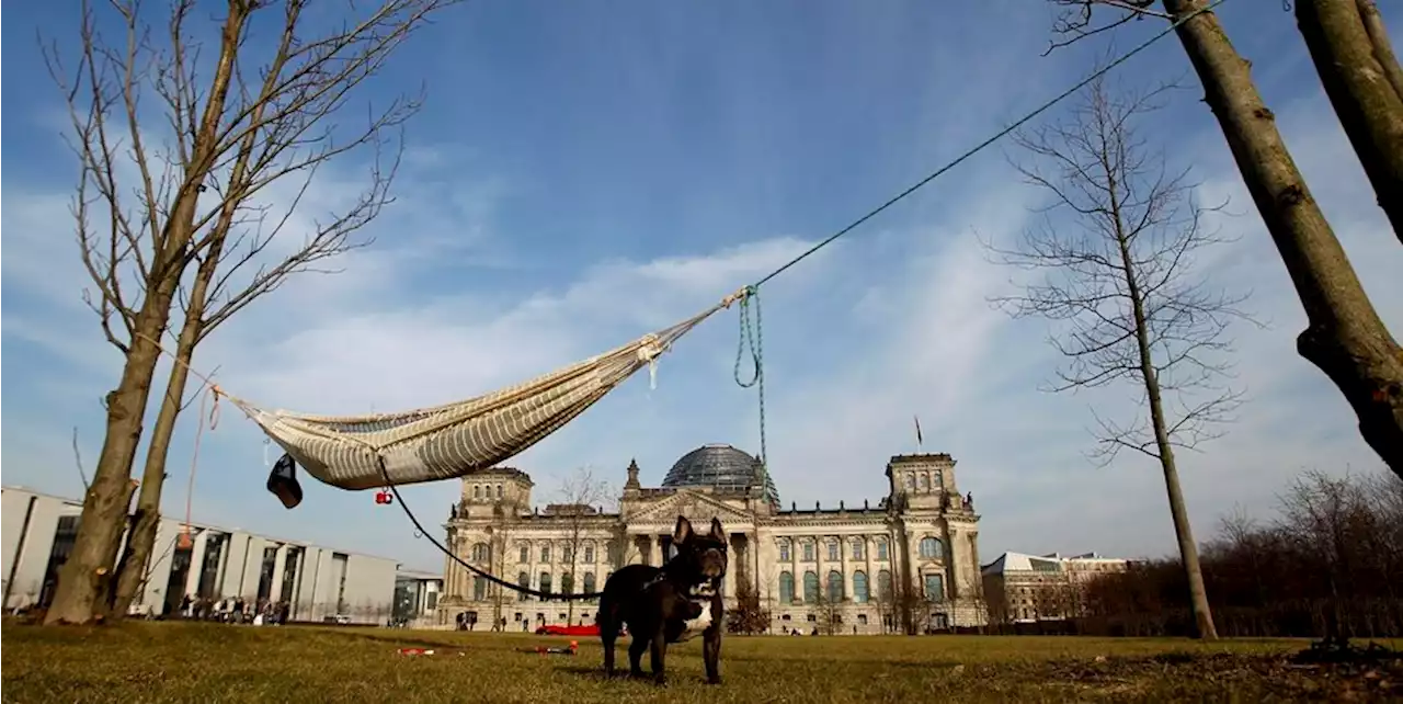 Die Wahrheit: Hohes Haus ganz flach