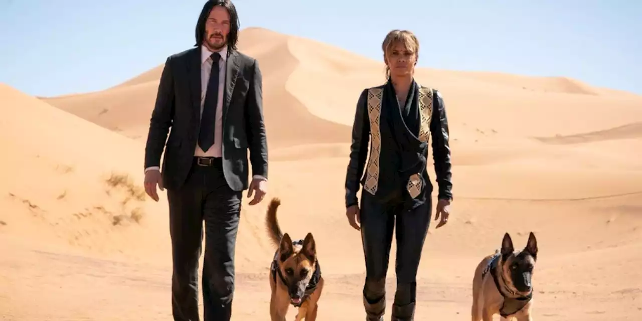 John Wick Parabellum (TMC) : comment Halle Berry s'est cassée trois côtes sur le tournage