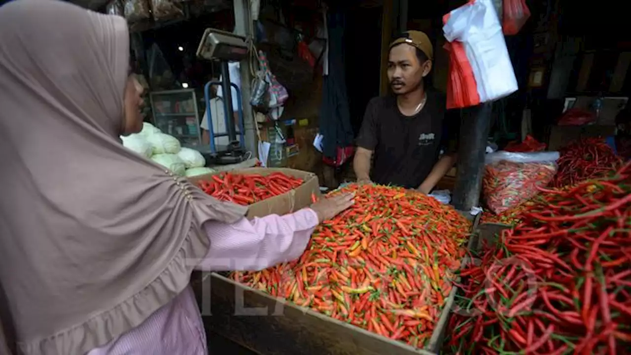 Hari Pertama Puasa: Harga Cabai, Ayam, Ikan, Telur, Gula, hingga Minyak Goreng Melonjak