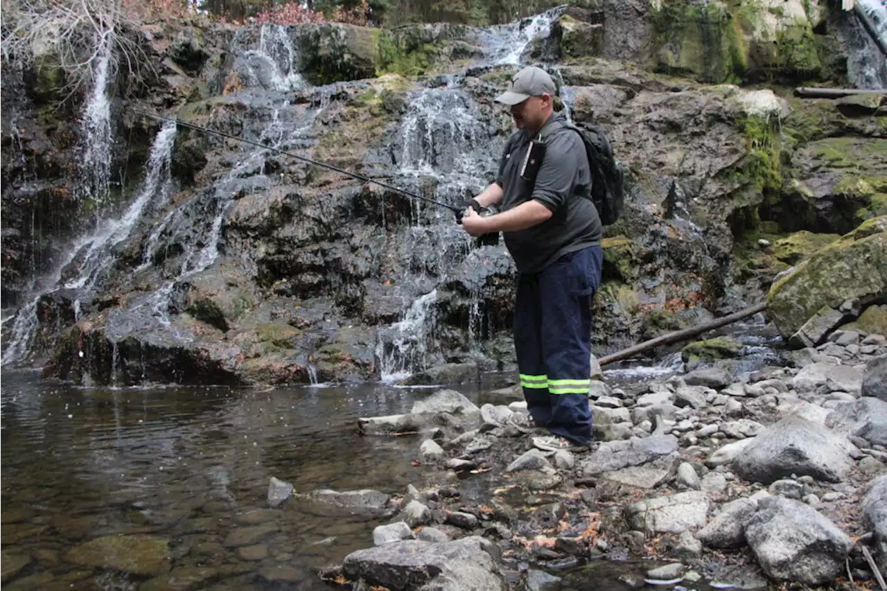 It will cost a little more to go freshwater fishing in B.C. this summer - Terrace Standard