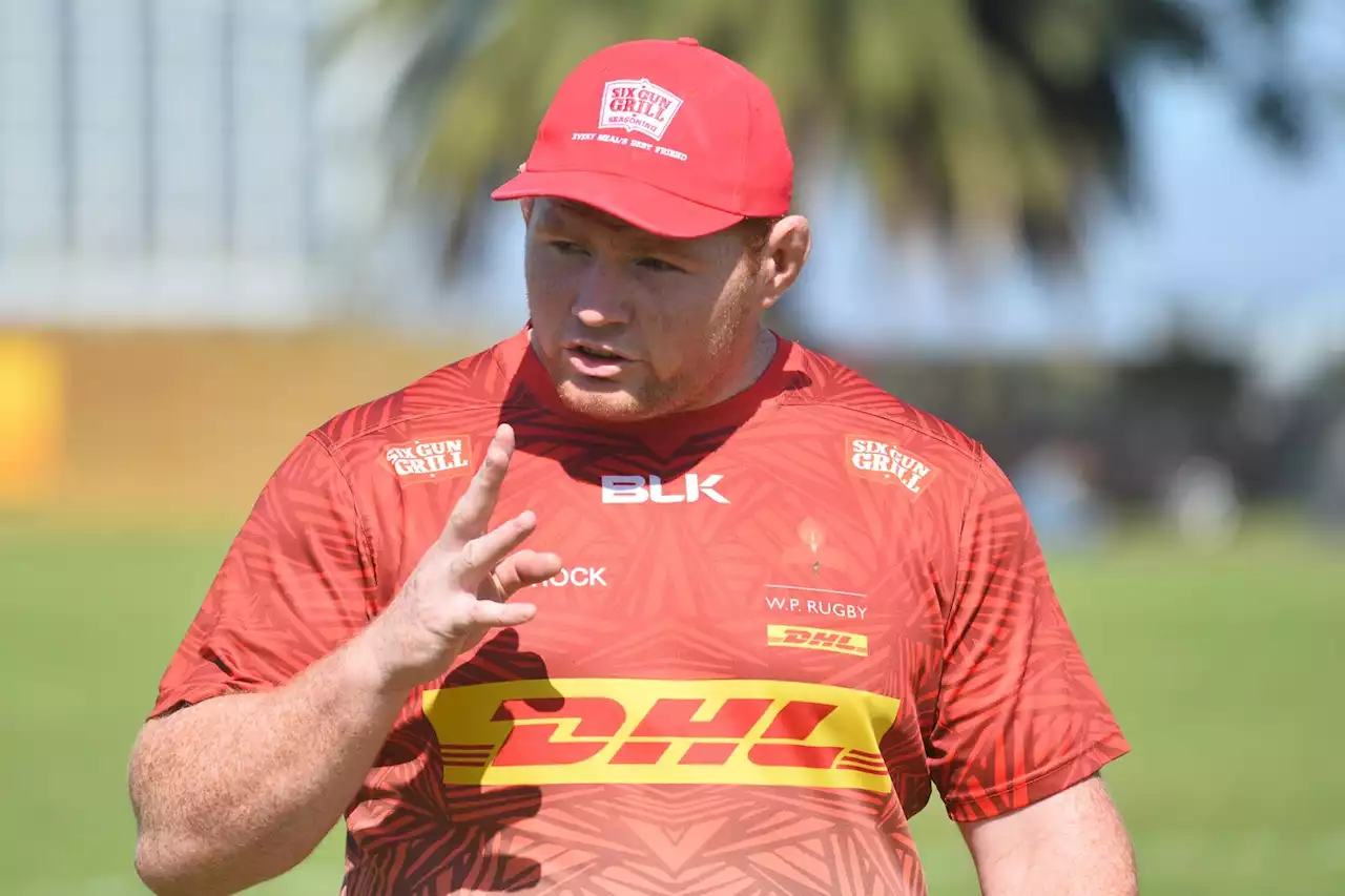 Dobson calls on Stormers' Boks for clash against 'Crusaders of the north' | The Citizen