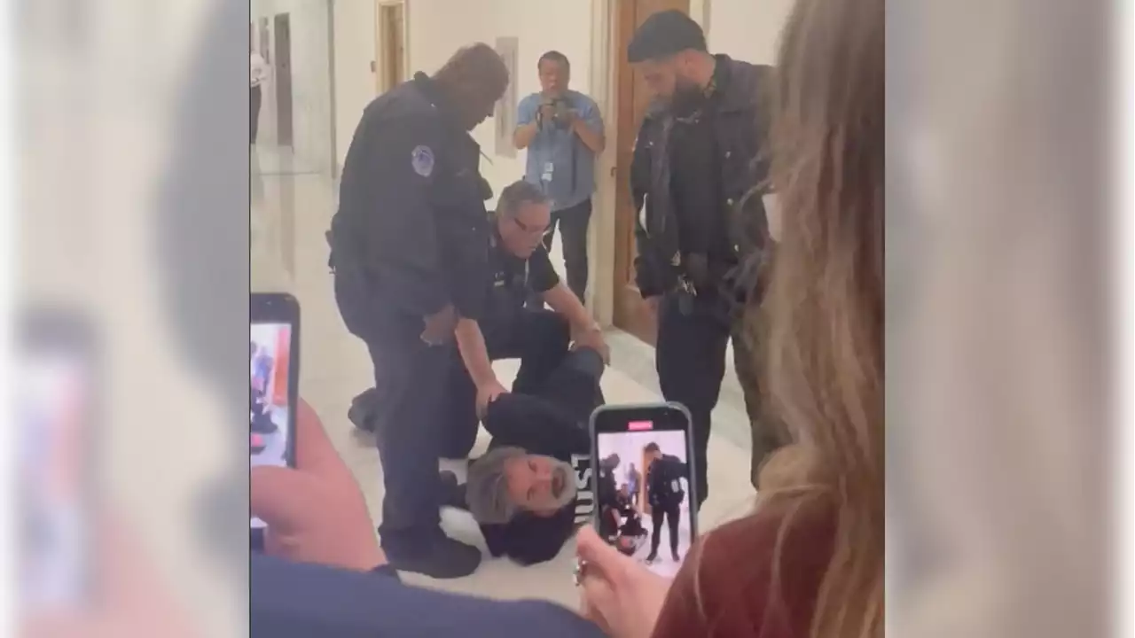 Parkland Dad Arrested After Being Kicked Out of House Hearing on Gun Law