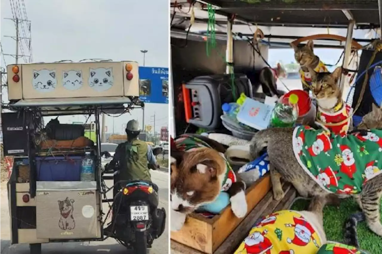 Thai man travels 300km with cats in sidecar back to hometown