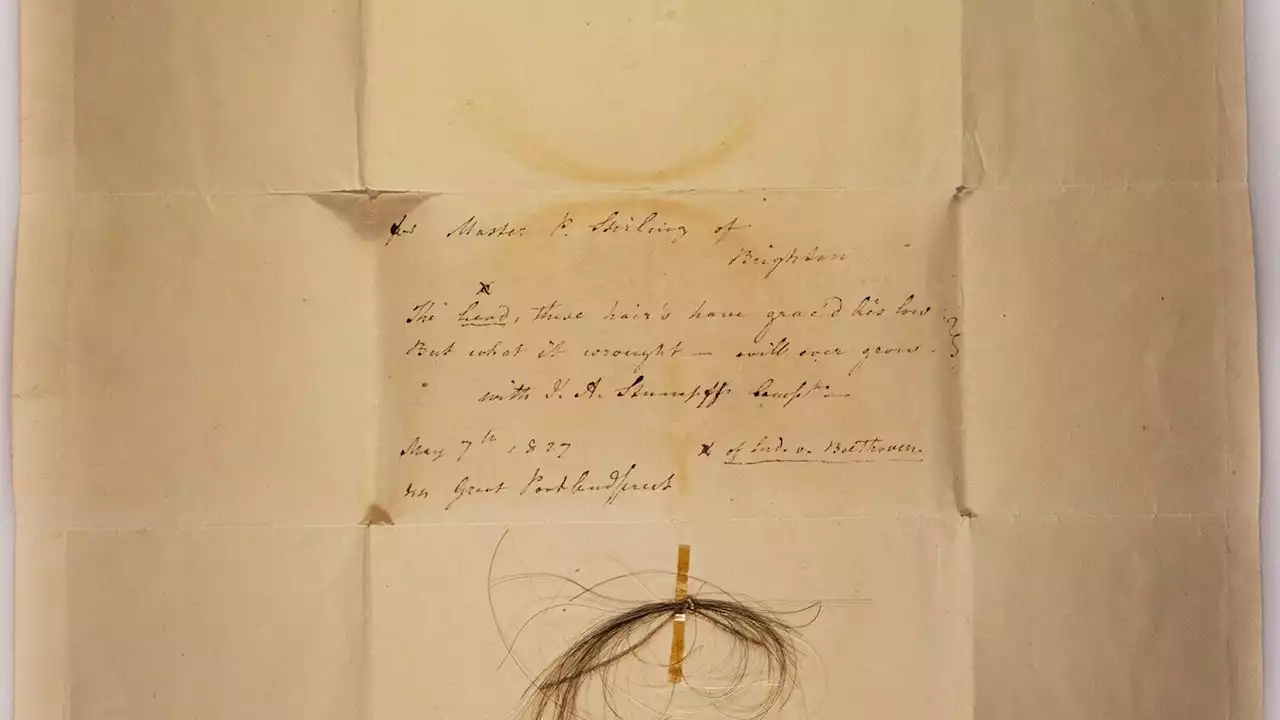 Locks of Beethoven's hair reveal health issues, family secret