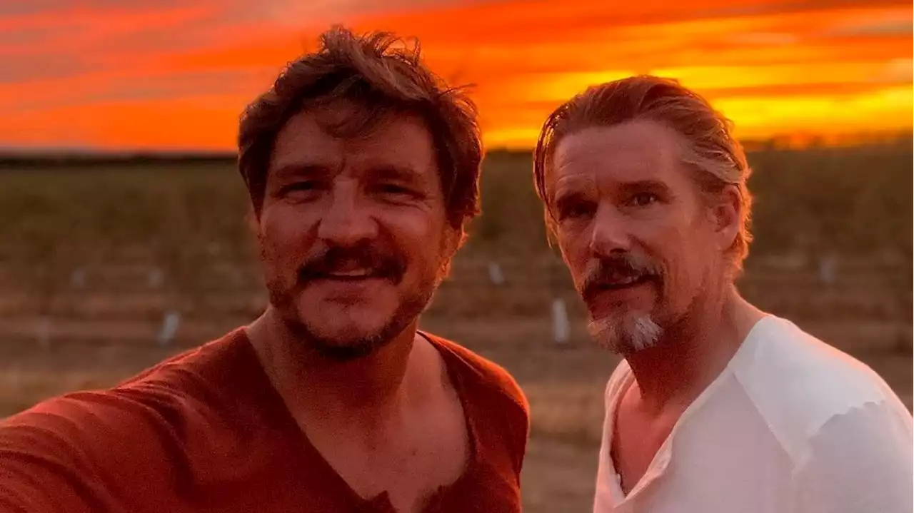 Pedro Almodóvar réunit Pedro Pascal et Ethan Hawke dans un western queer