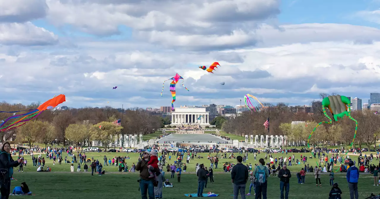 Things to Do in the DC Area This Weekend