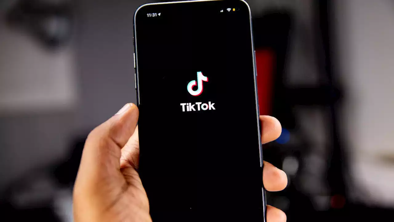 Verfassungsschutz warnt vor Risiken bei Nutzung von TikTok | W&V