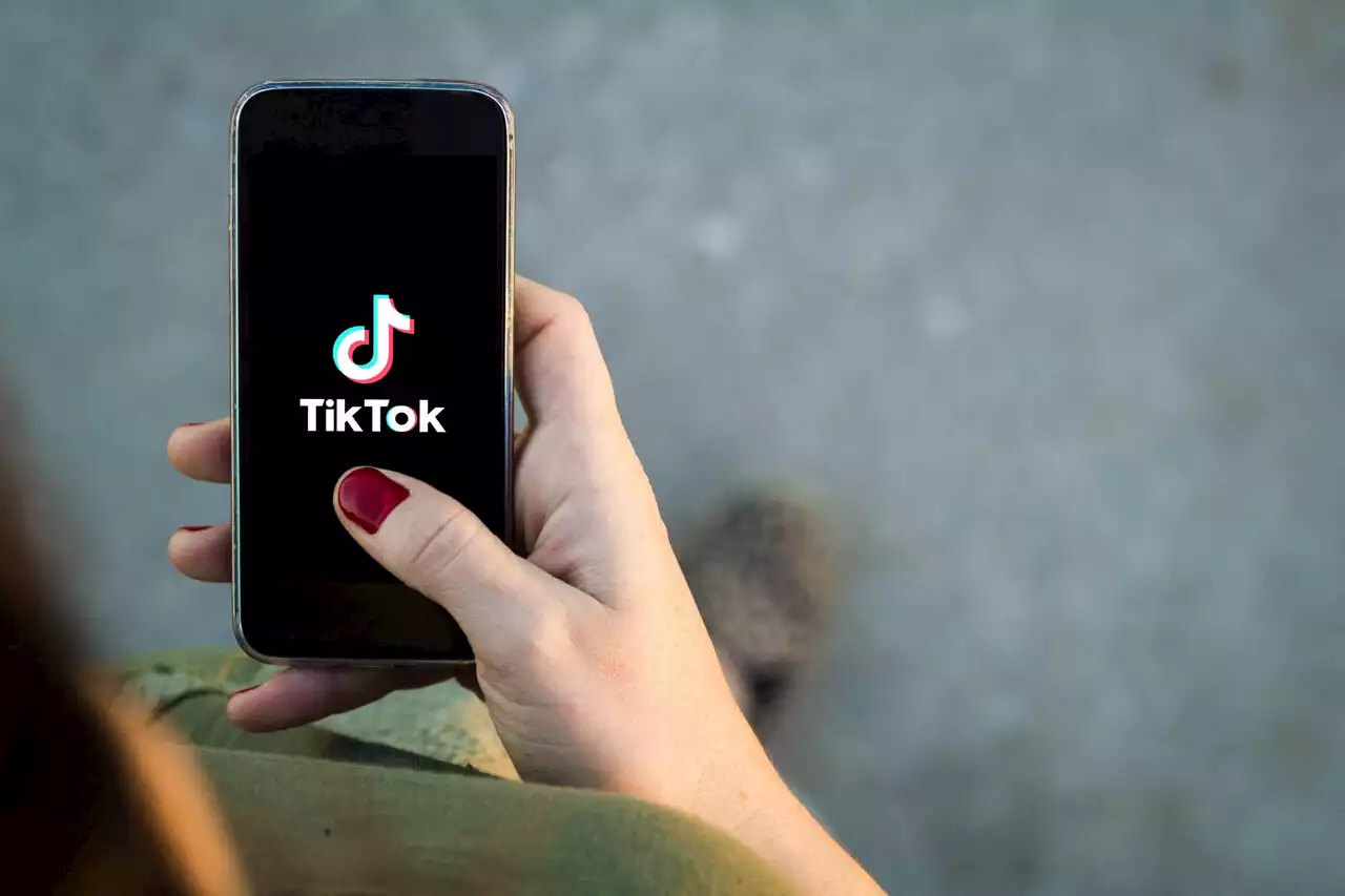 TikTok, Netflix... les applis récréatives interdites sur les téléphones des fonctionnaires d'Etat