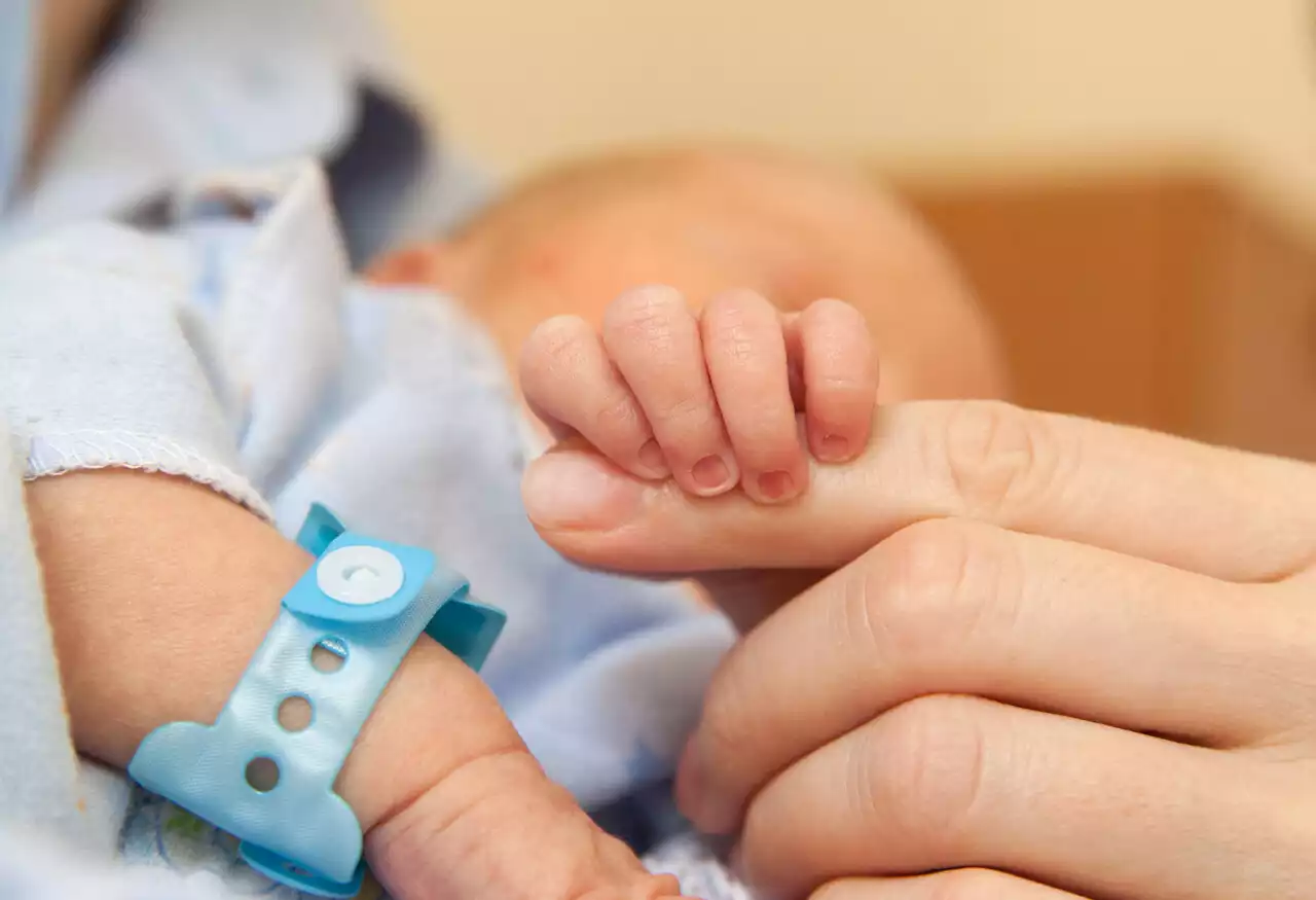 Un couple transgenre donne naissance à un enfant, une première en France