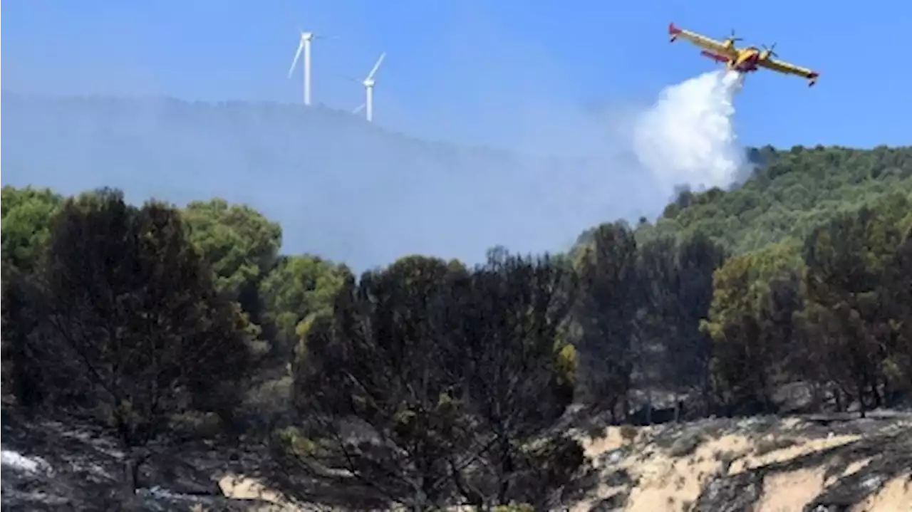 España: avanza sin control el primer gran incendio forestal del año