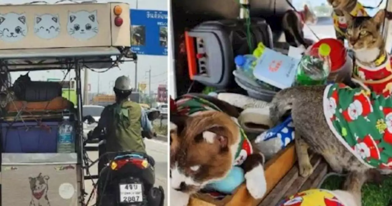 Man and his 11 cats make epic 300km trip across Thailand on motorbike