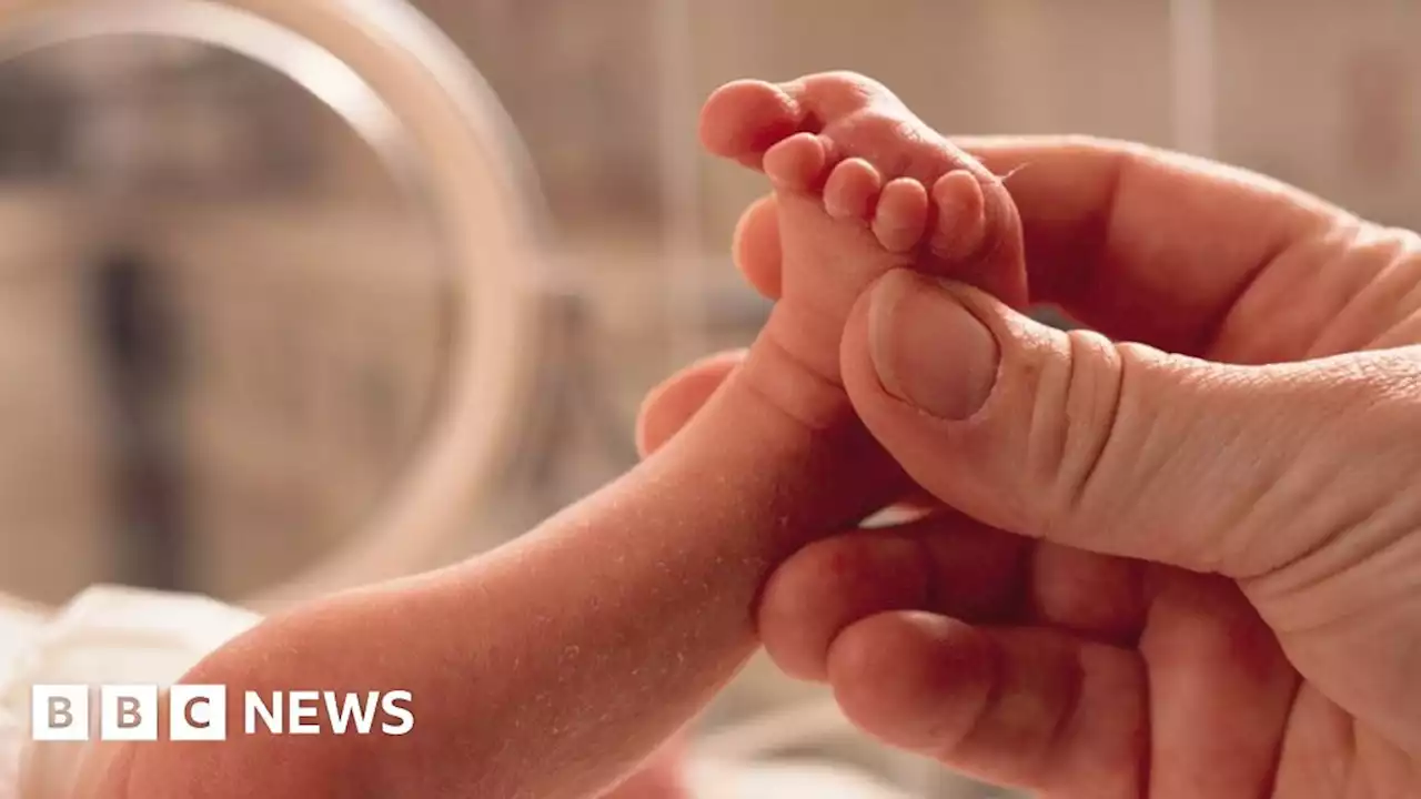 Belfast councillors vote to give employees premature birth leave