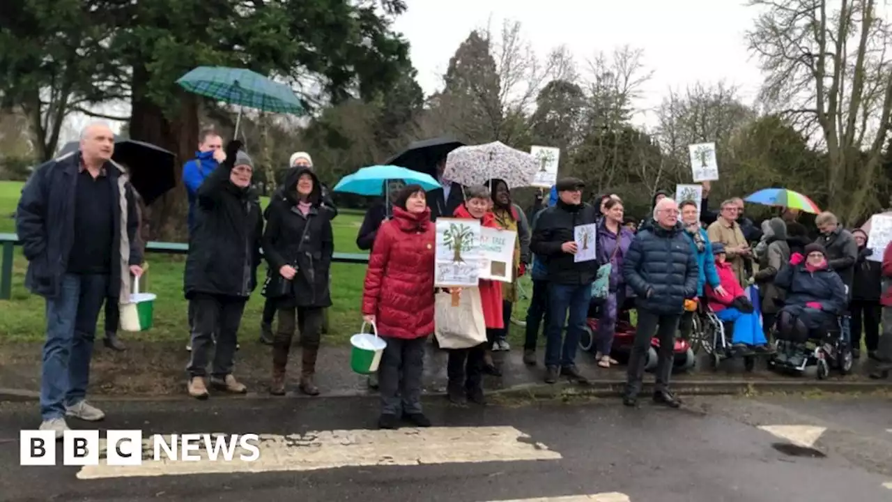 Wellingborough tree protesters say exhibition was 'waste of time'