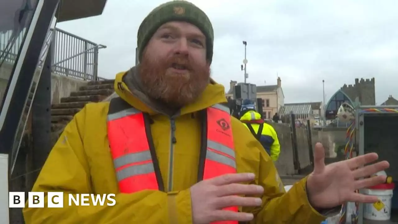 Strangford Lough: Scheme to stimulate seagrass growth