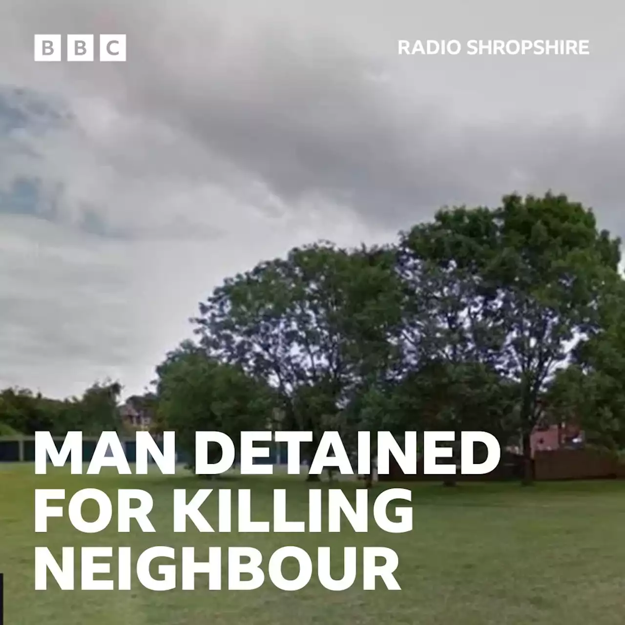 Man detained for killing neighbour after garden row