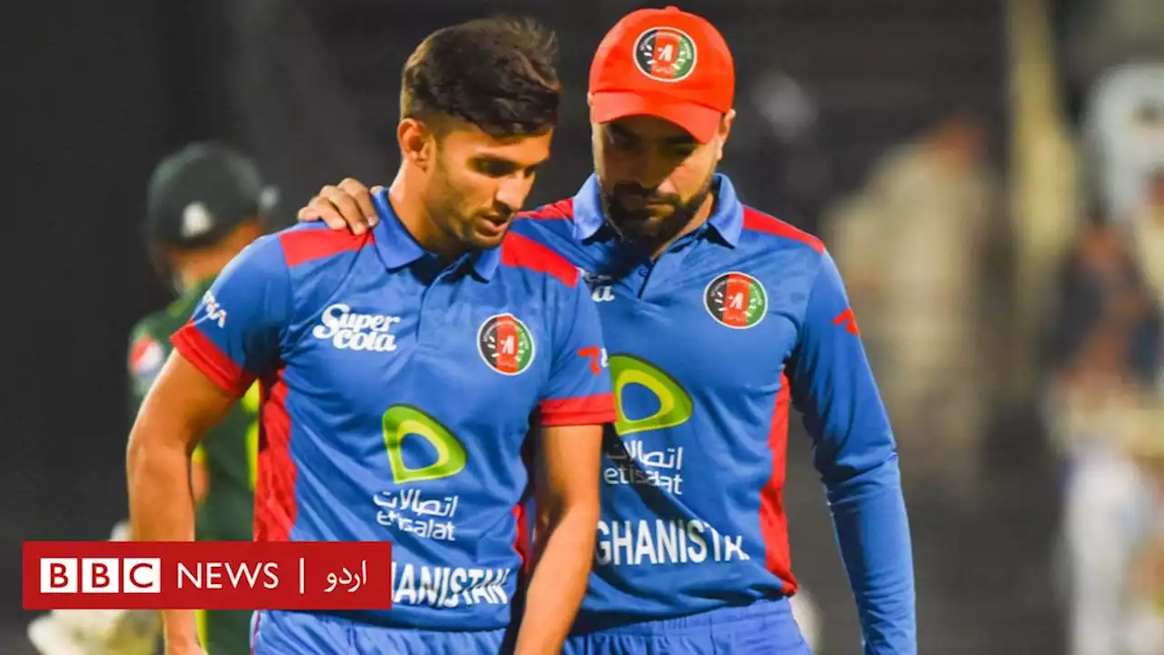 افغانستان کی پاکستان پر تاریخی فتح: ’پی ایس ایل کے چیتے شارجہ میں ڈھیر ہو گئے‘ - BBC News اردو