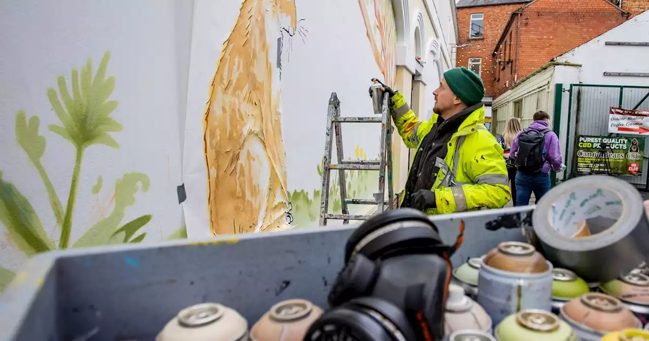 Lisburn's world renowned author murals to attract global visitors