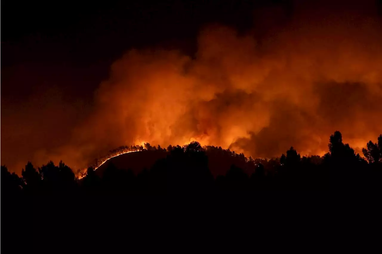 Spanien: Erster großer Waldbrand des Jahres – zahlreiche Dörfer evakuiert