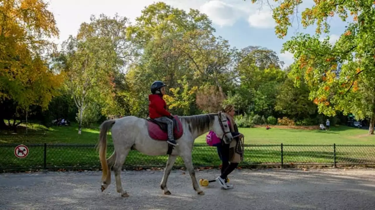 Paris: les parcs et espaces verts fermés en raison de fortes rafales de vent