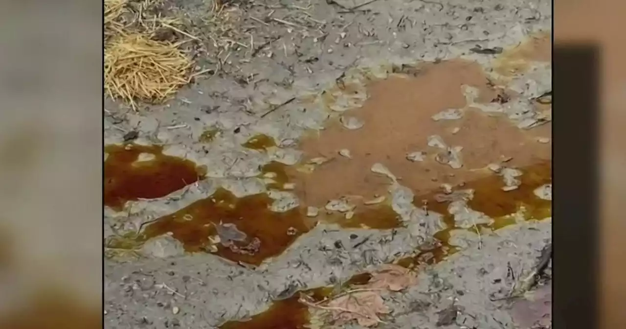 'Puddles were bright orange': What's causing the oil smell in Oak Park?