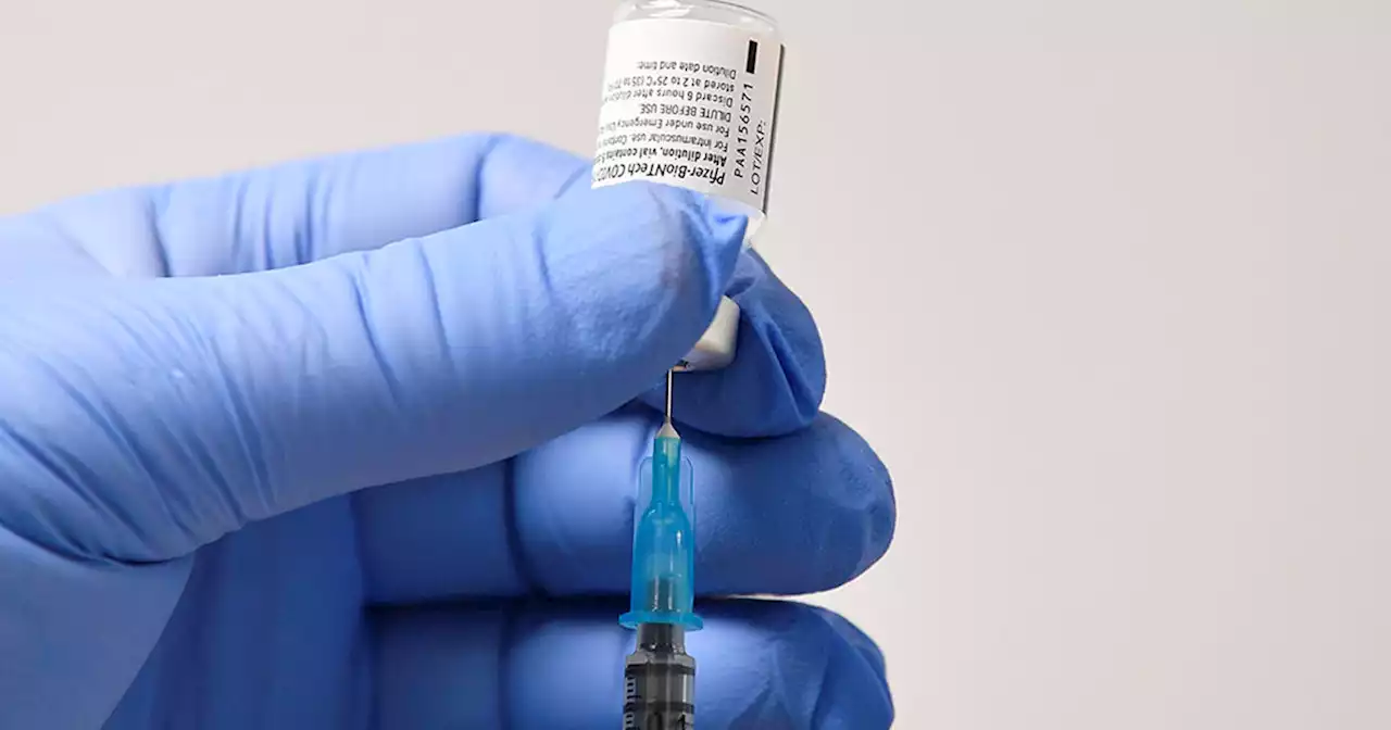 Appeals court blocks COVID vaccine mandate for federal workers