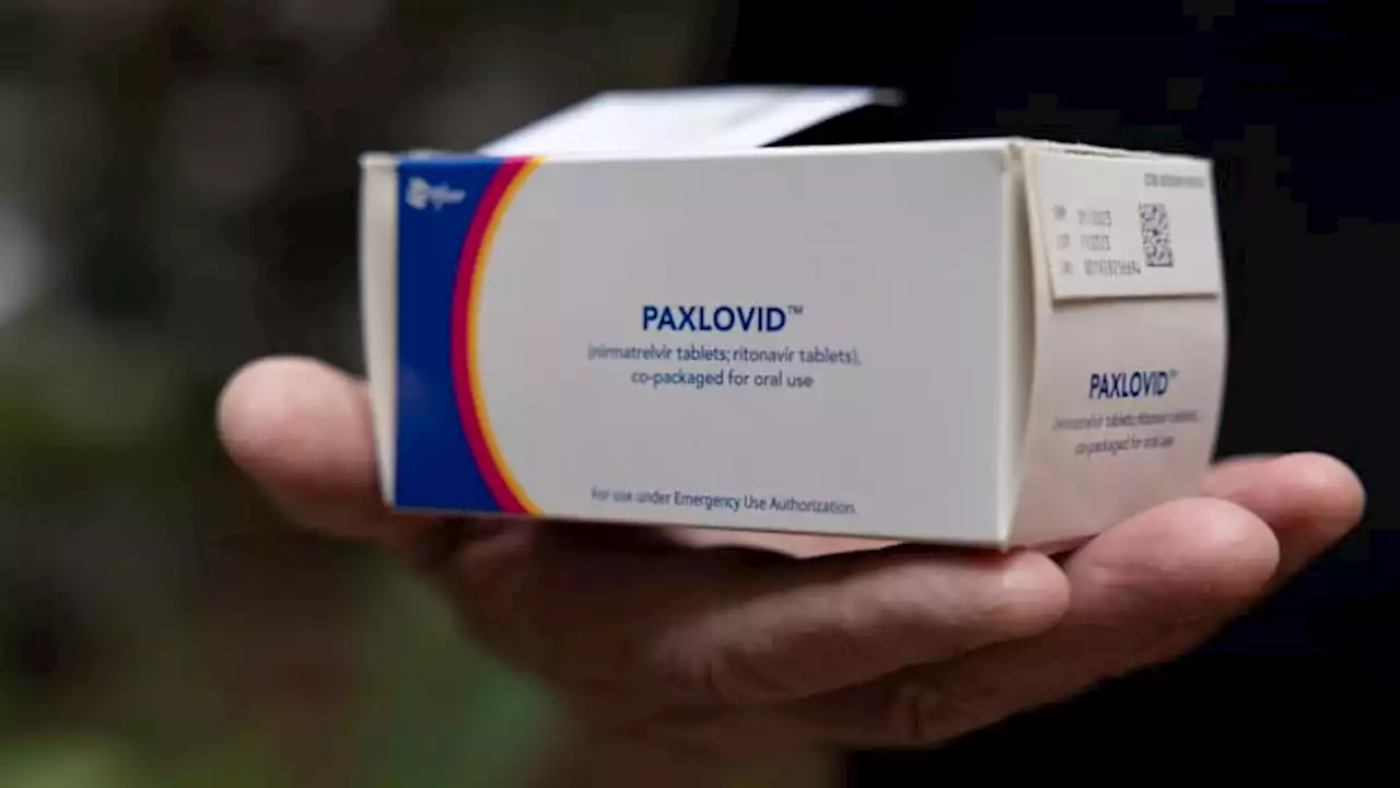 Pfizer's Covid drug Paxlovid may reduce the risk of developing long Covid, study says