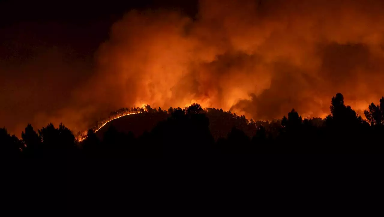 Spanien: Erster Waldbrand des Jahres — viele weitere dürften folgen