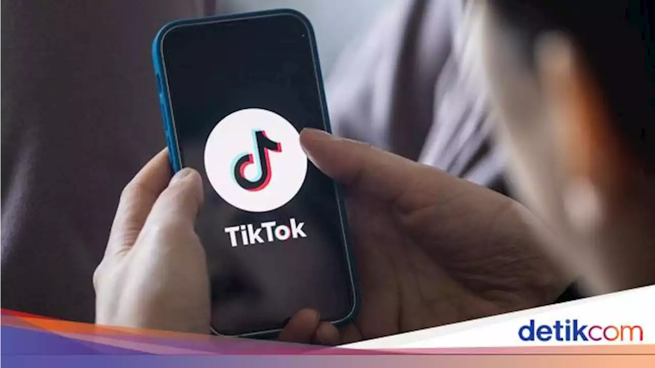 Prancis Larang Pegawai Negeri Main TikTok dengan HP Kantor